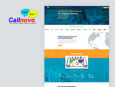 callnovo WordPress Development