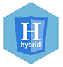 Hybrid App Development Services