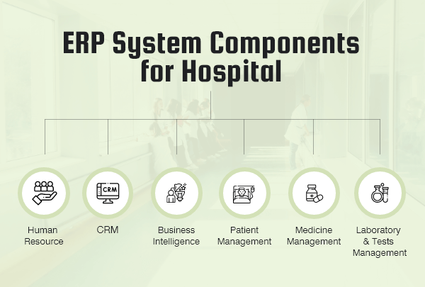 Components of Hospital ERP