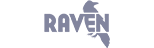 Raven SEO Audit